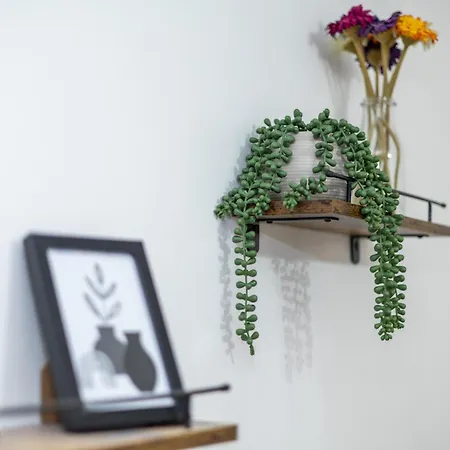 Vakantiehuis Cozy Home, Sleeps 4,only 7mins From Centre, Parking, Wifi & Netflix